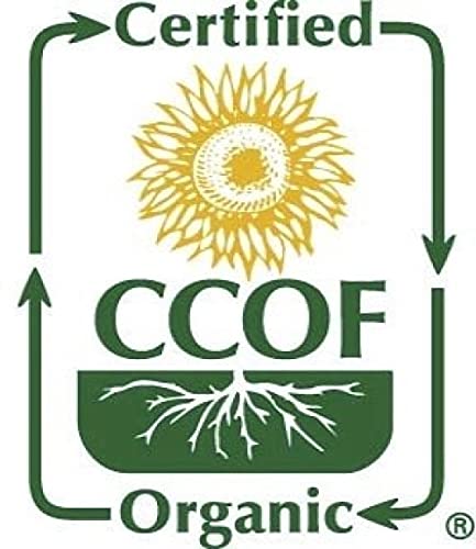 McCabe Organic Millet Flour - Millet Flour Organic | Rich with Fiber & Minerals | USDA and CCOF Certified | Product of USA | 2Lbs Pack of 2