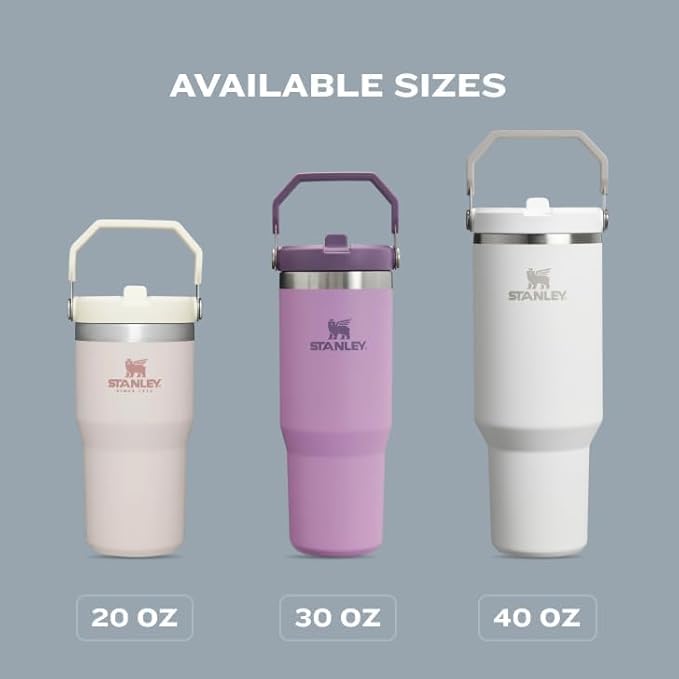 STANLEY IceFlow 2.0 Flip Straw Tumbler with Handle 30 oz | Twist On Lid and Flip Up Straw | Leak Resistant Water Bottle | Insulated Stainless Steel | BPA-Free | Cranberry