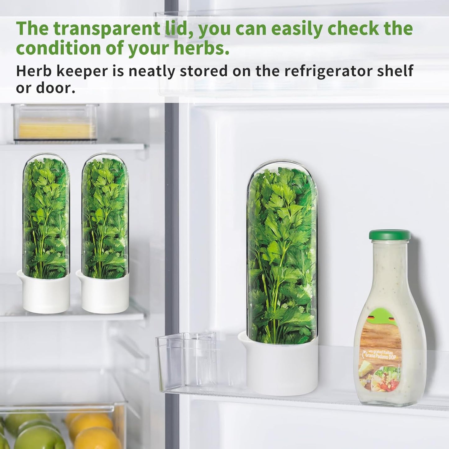 Herb Keeper for Refrigerator, Herb Saver for Refrigerator, Cilantro Container, Vegetable Preservation Bottle for Cilantro, Mint, Parsley, Asparagus, Keeps Greens Fresh for 2-3 Weeks (2PCS)